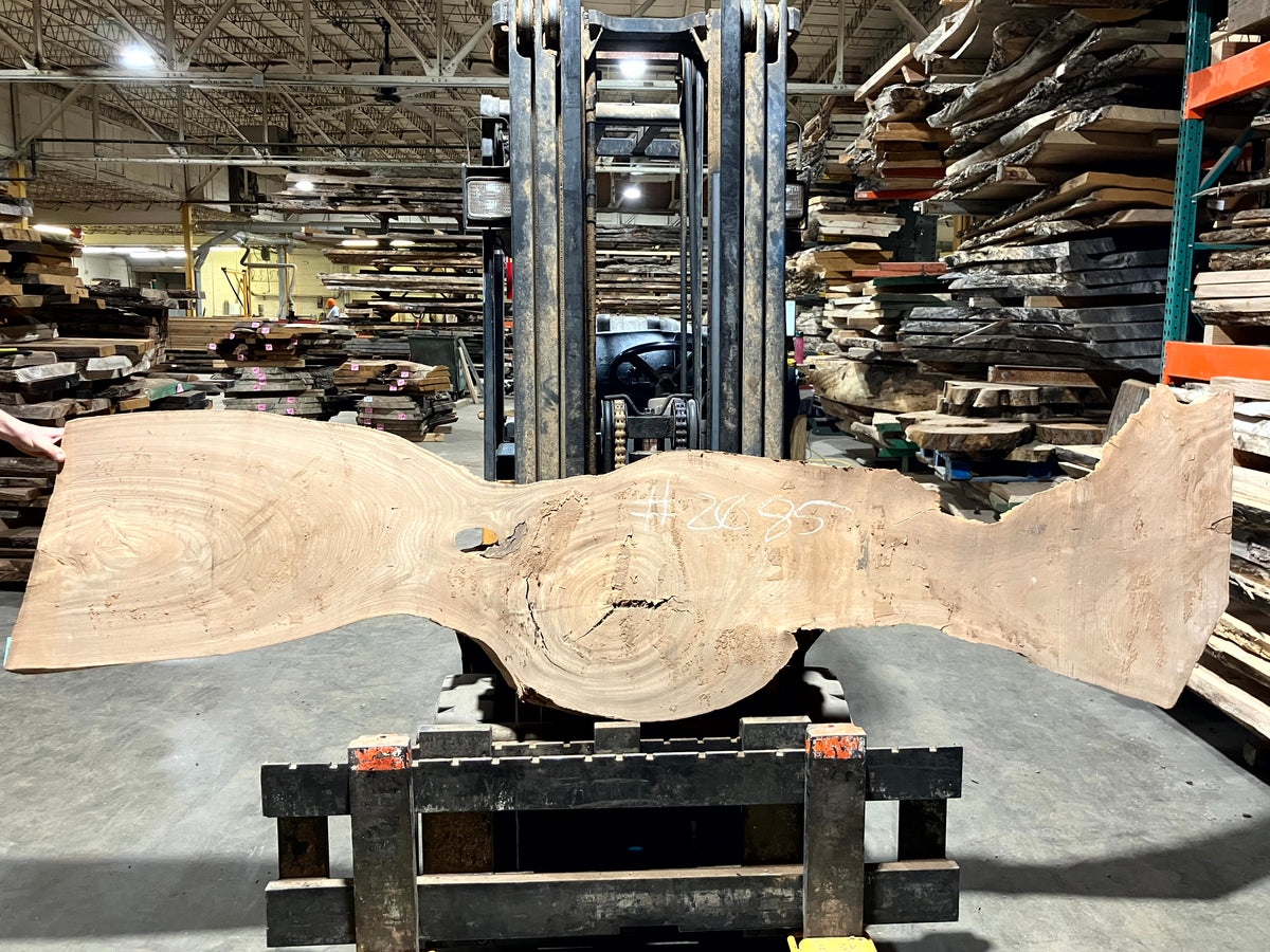 Red Elm (2085) 67” L x 18-20” W x 2.5” T