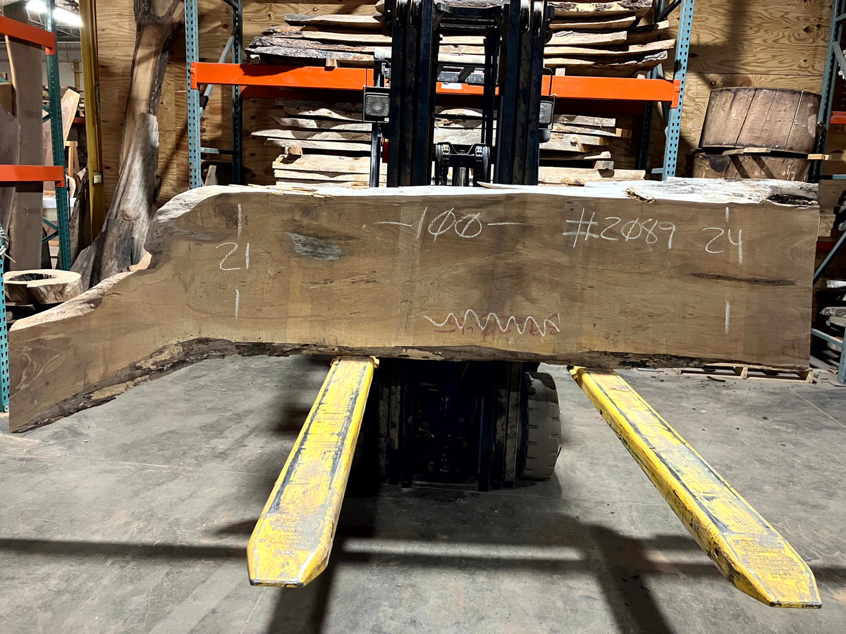 Siberian Elm (2089) 100" L x 21-24" W x 2.5" T