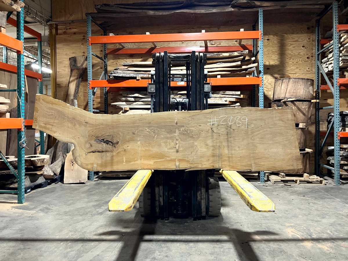 Siberian Elm (2089) 100" L x 21-24" W x 2.5" T