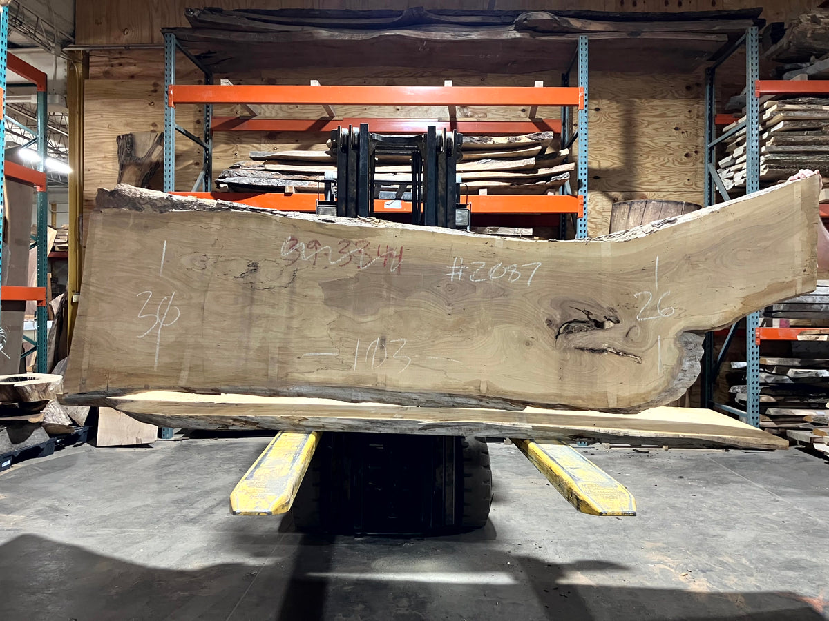Siberian Elm (2087) 110" L x 26-30" W x 2.5" T