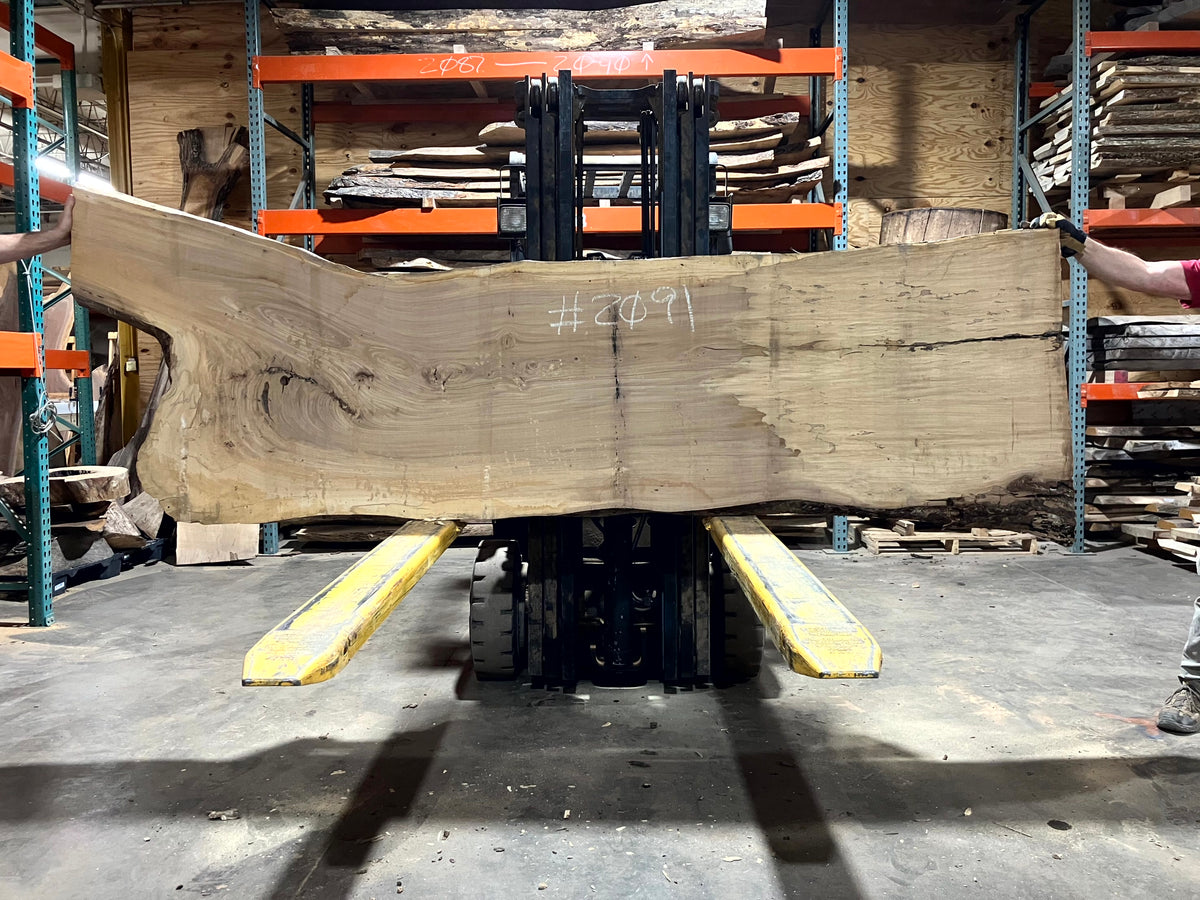 Siberian Elm (2091) 112" L x 33-33" W x 2.5" T