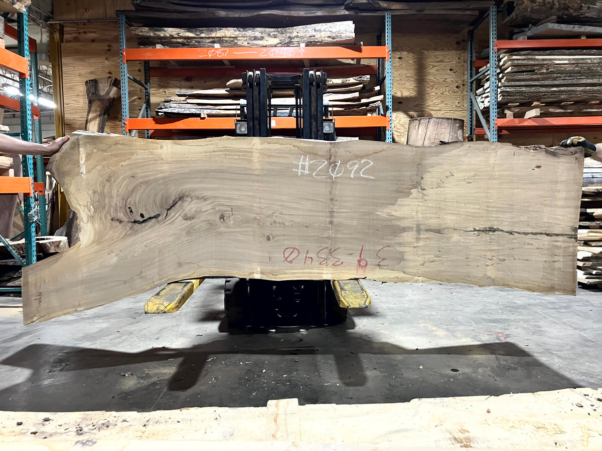 Siberian Elm (2092) 110" L x 30-33" W x 2.5" T