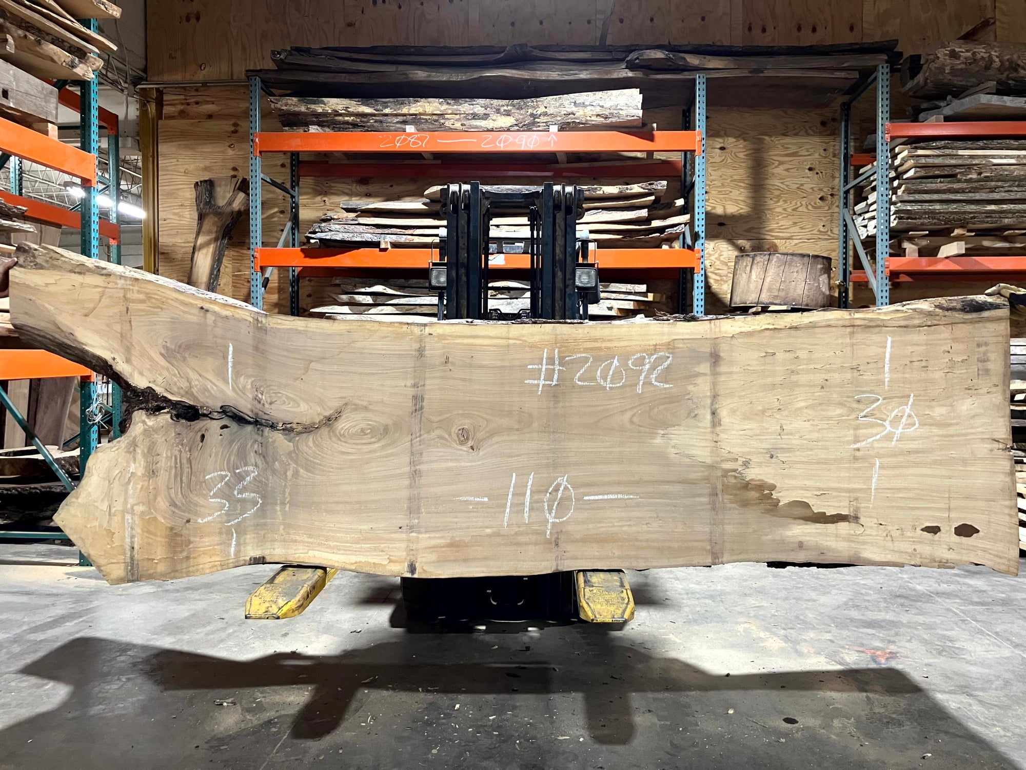 Siberian Elm (2092) 110" L x 30-33" W x 2.5" T