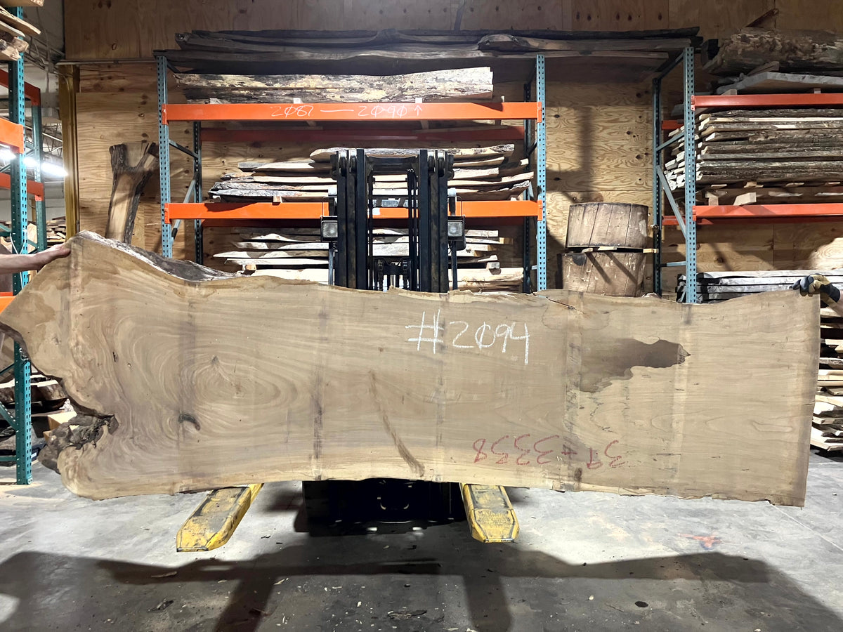 Siberian Elm (2094) 112&quot; L x 27-34&quot; W x 2.5&quot; T