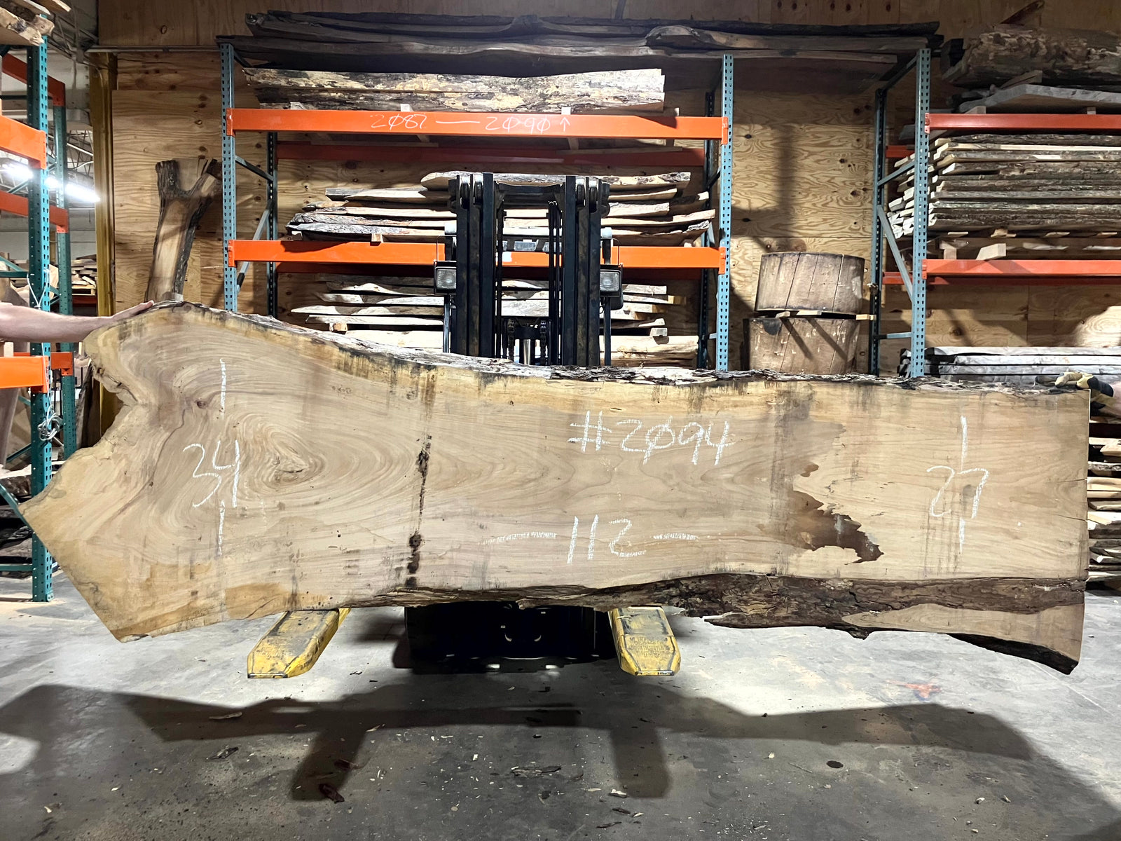 Siberian Elm (2094) 112" L x 27-34" W x 2.5" T