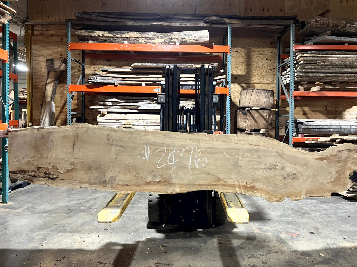 Siberian Elm (2096) 118" L x 15-20" W x 2.5" T