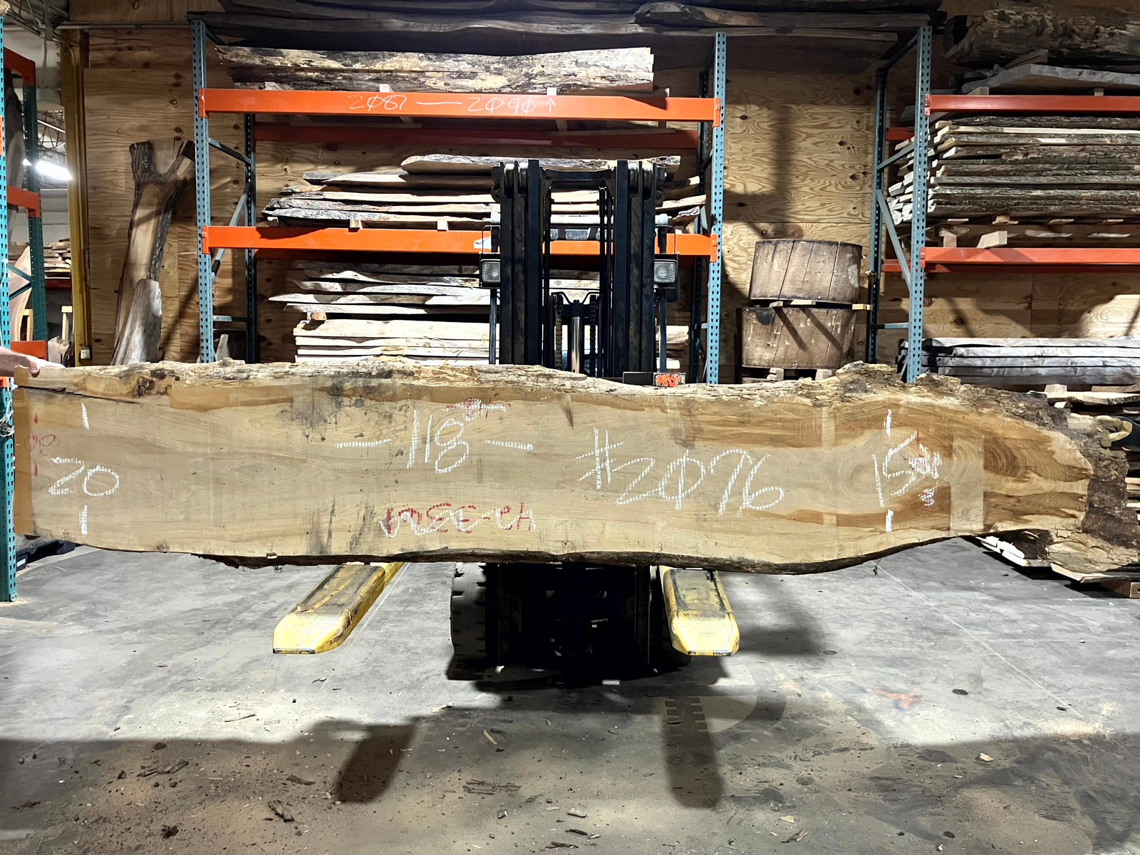 Siberian Elm (2096) 118" L x 15-20" W x 2.5" T