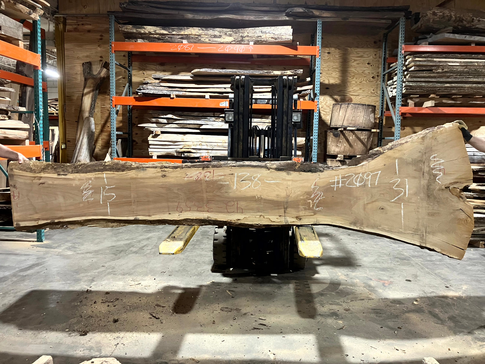 Siberian Elm (2097) 138" L x 15-31" W x 2.5" T