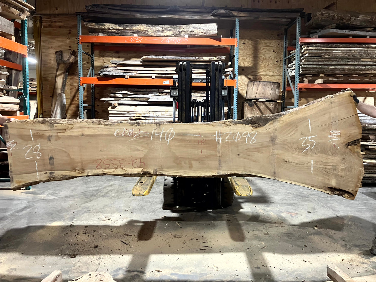 Siberian Elm (2098) 140" L x 28-35" W x 2.5" T