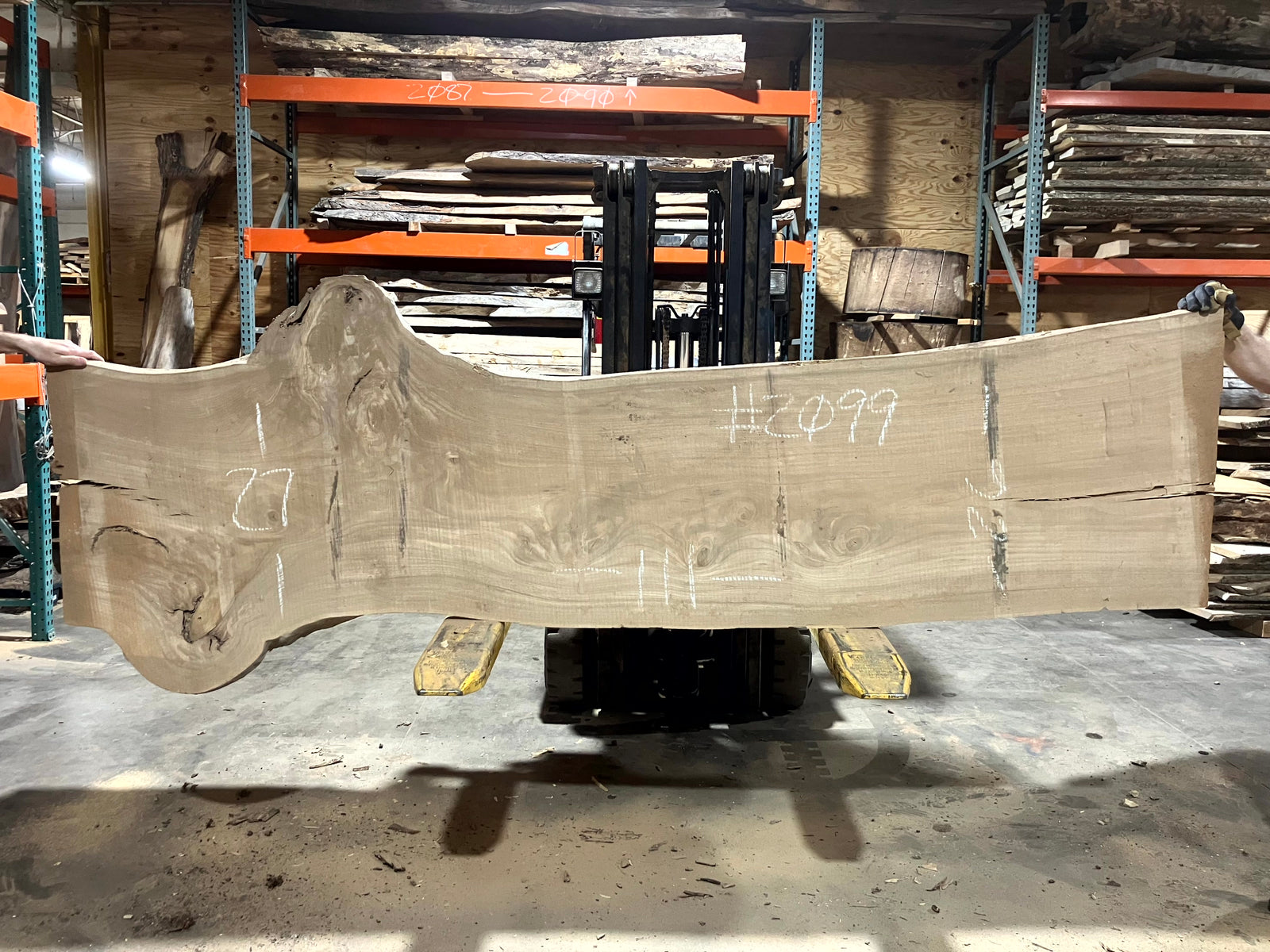 Siberian Elm (2099) 111" L x 26-27" W x 2.5" T