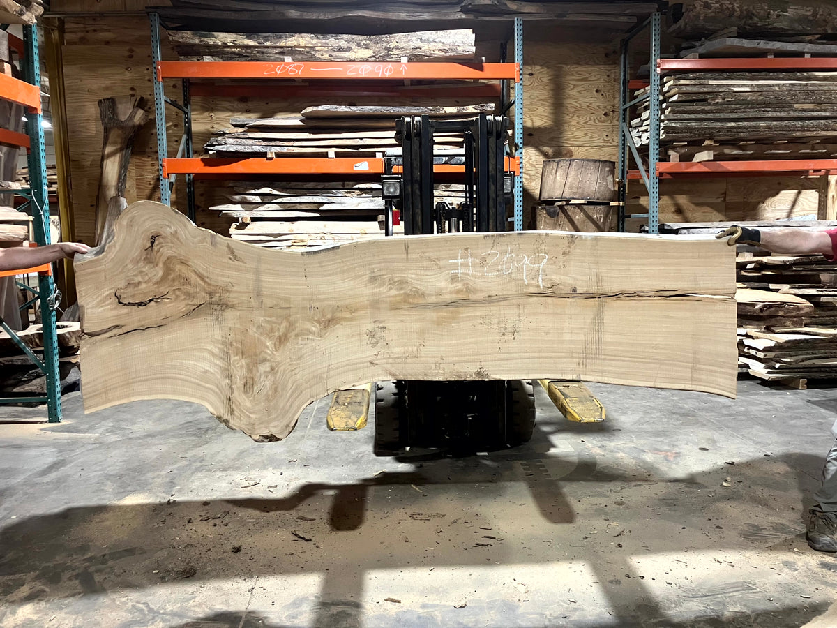 Siberian Elm (2099) 111&quot; L x 26-27&quot; W x 2.5&quot; T