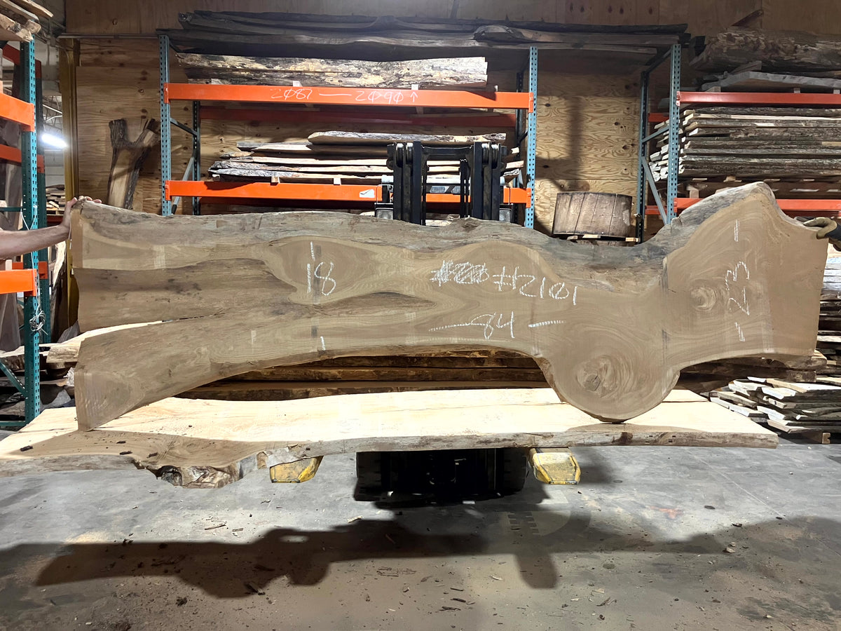 Siberian Elm (2101) 84" L x 18-23" W x 2.5" T
