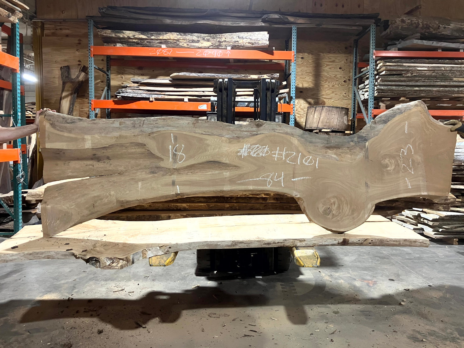 Siberian Elm (2101) 84" L x 18-23" W x 2.5" T