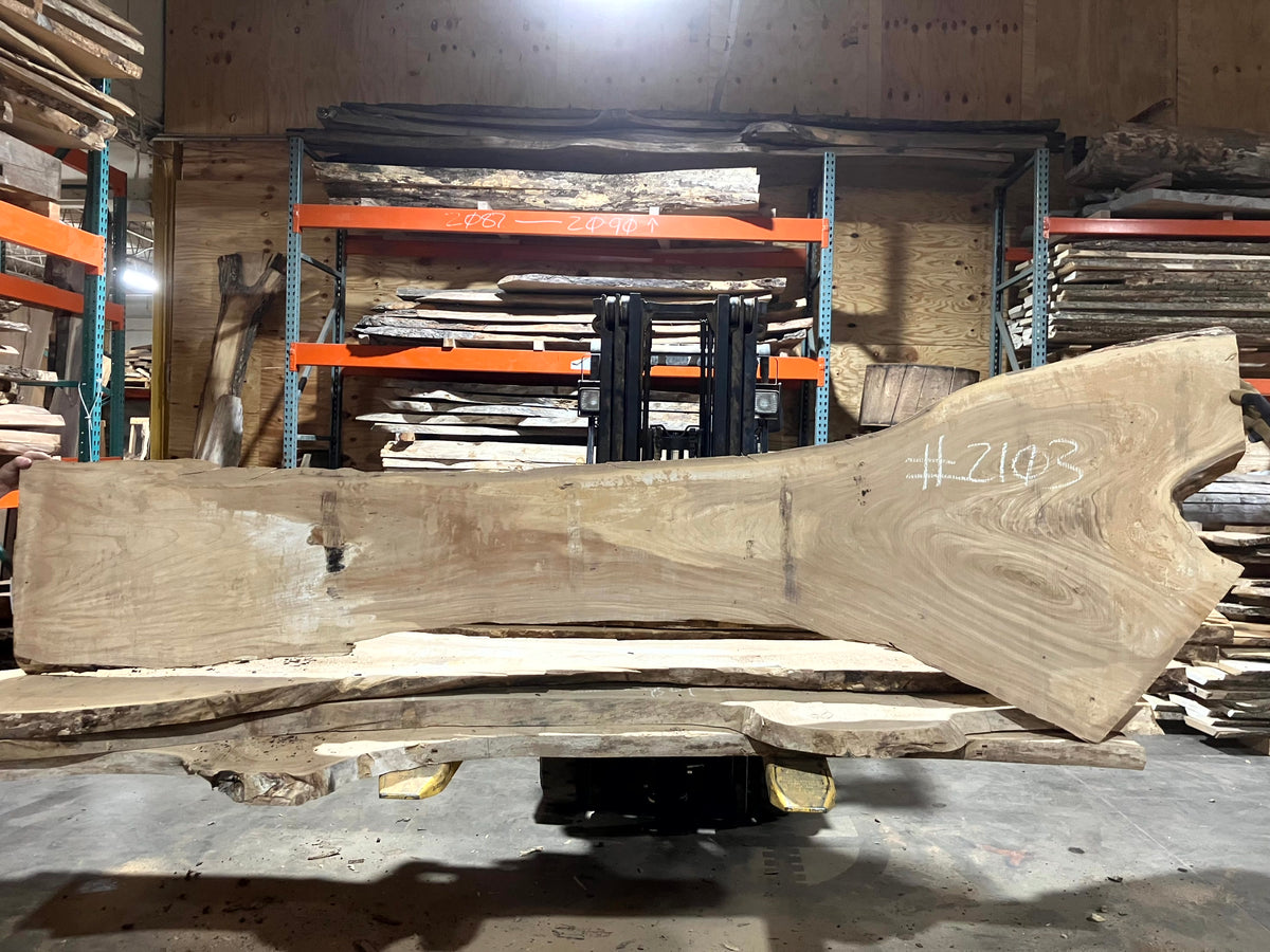 Siberian Elm (2103) 118&quot; L x 13-33&quot; W x 2.5&quot; T