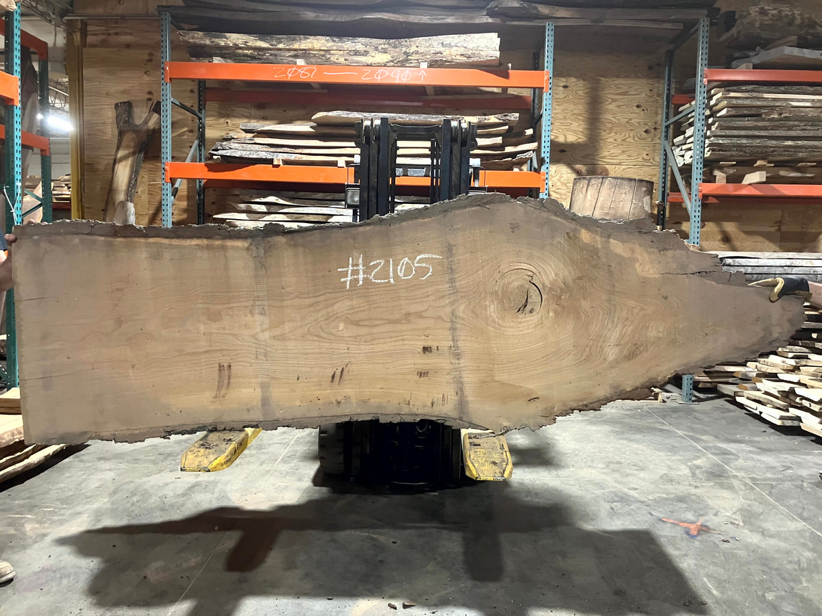 Siberian Elm (2105) 81" L x 23-26" W x 2.5" T