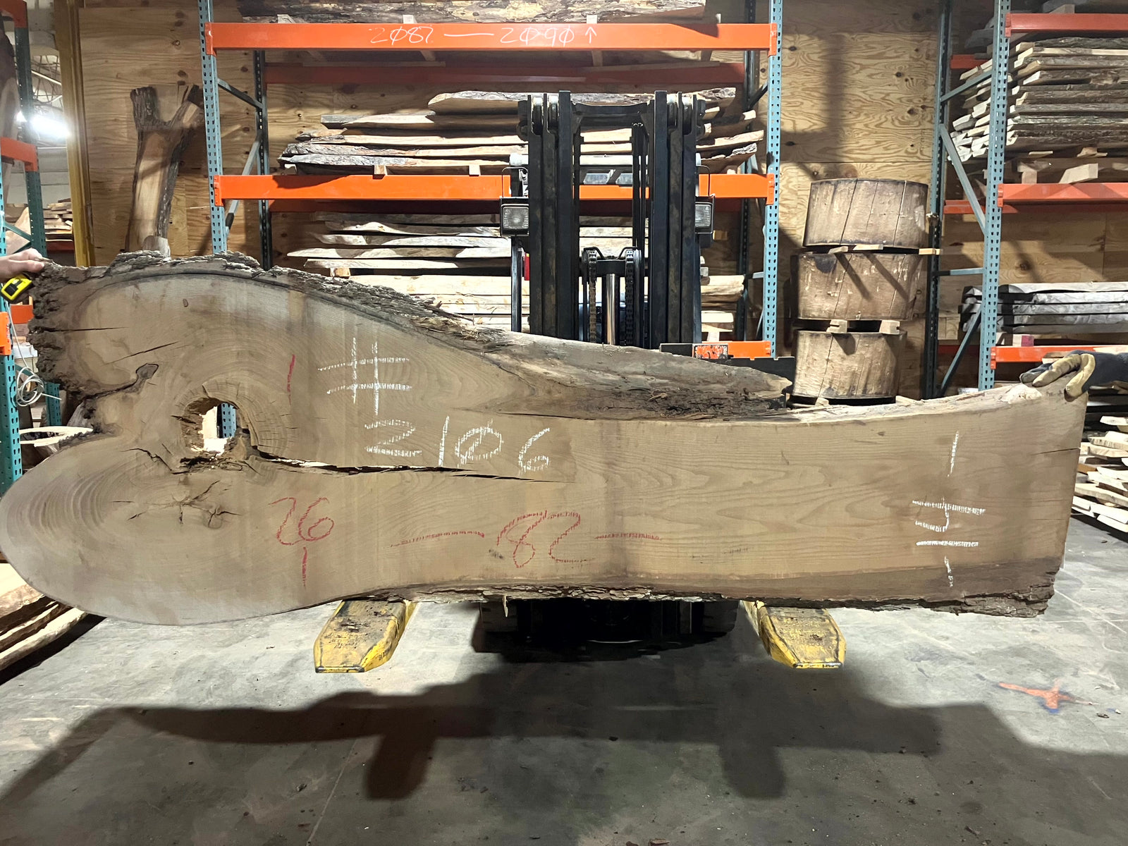 Siberian Elm (2106) 82" L x 14-26" W x 2.5" T