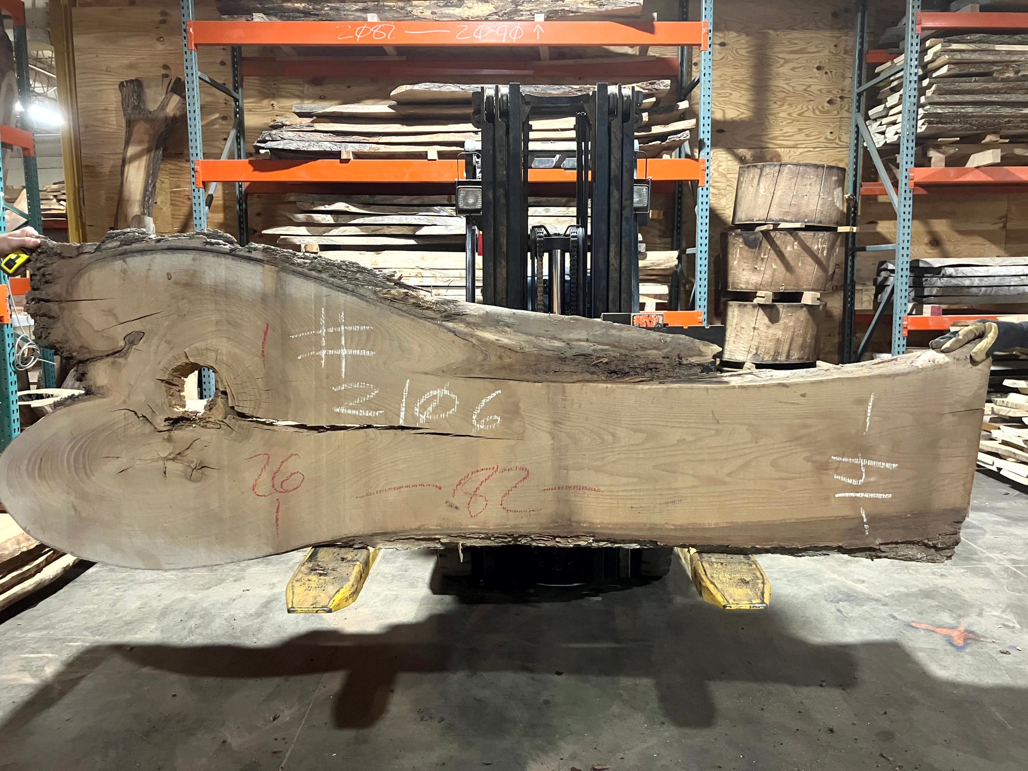 Siberian Elm (2106) 82" L x 14-26" W x 2.5" T