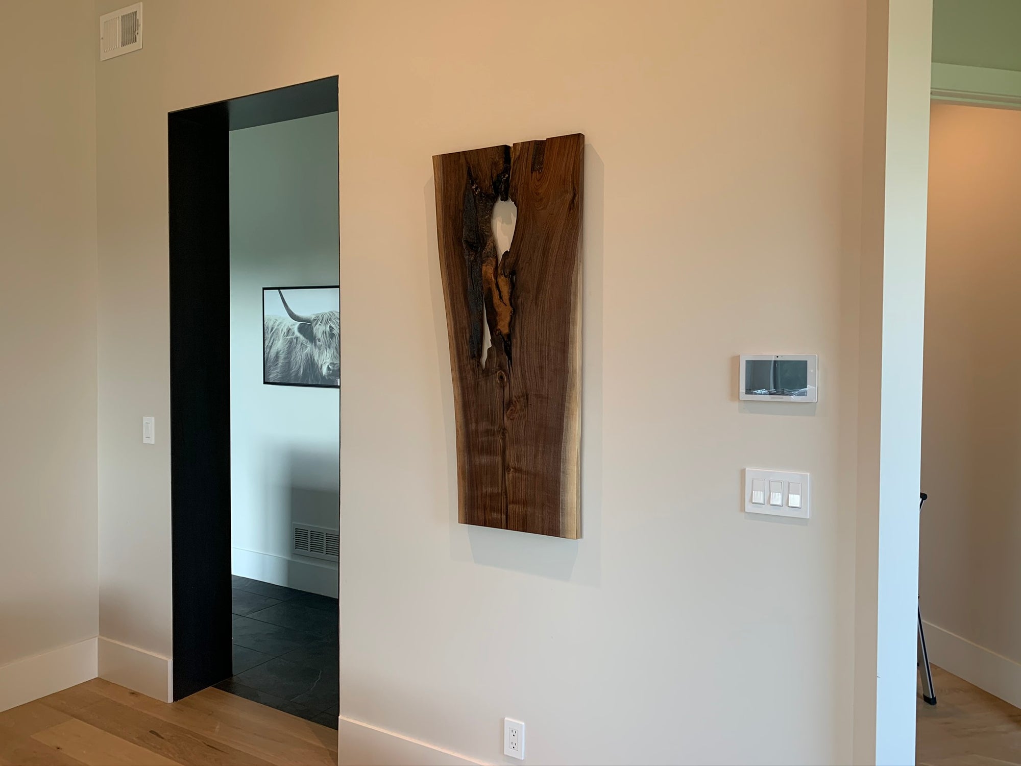 Black Walnut Wall Art  321