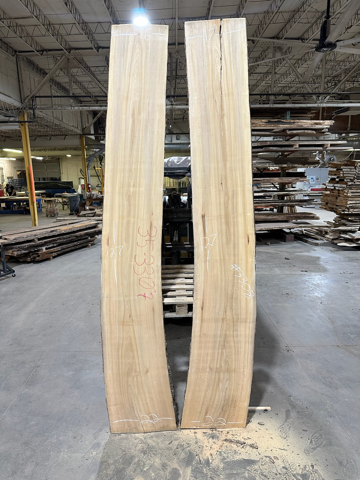 Sycamore Bookmatch  (3307) & (3308) 127” L x 16-22” W x 2.5” T