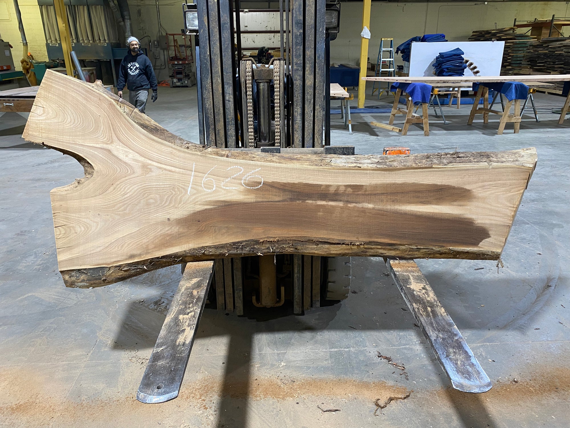 Siberian Elm (1626)  82” L X 15-36” W X 2.5” T