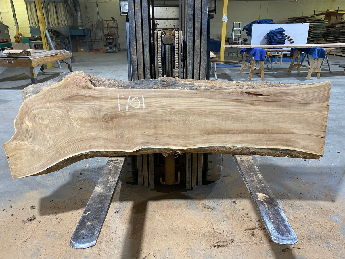 Siberian Elm (1701)  91” L X 17-24” W X 2.5” T