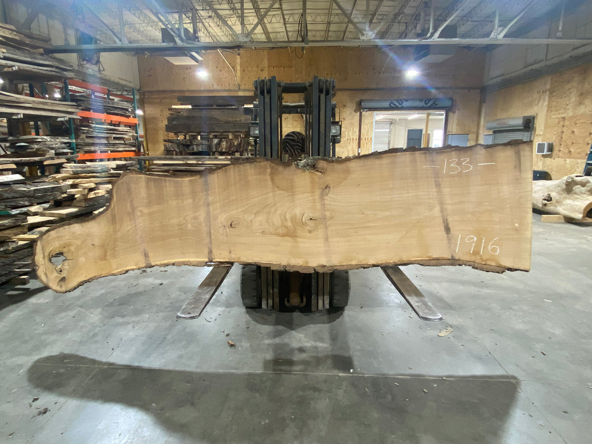 Siberian Elm (1916) 127&quot; L x 34&quot; W x 3&quot; T