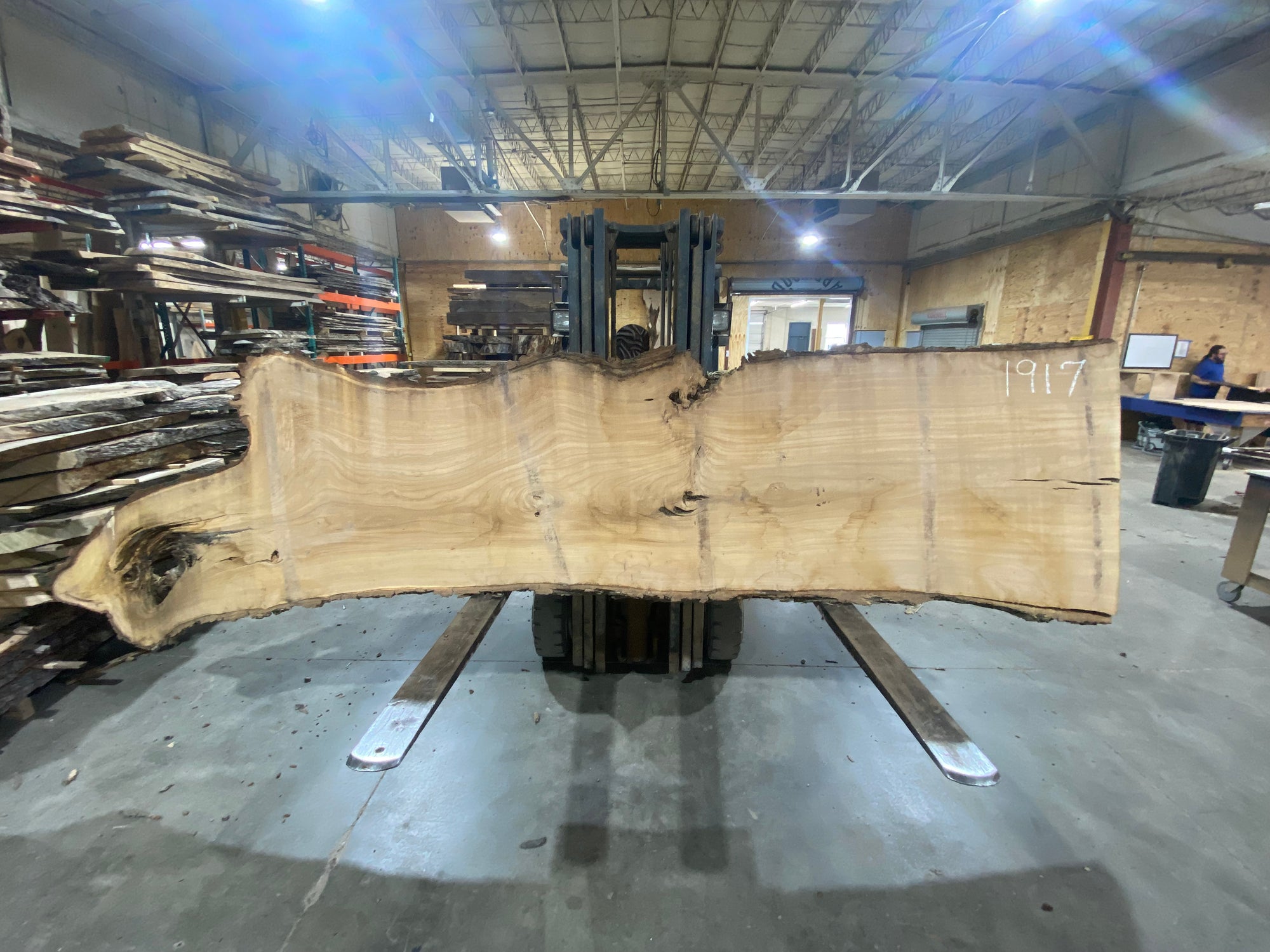Siberian Elm (1917) 133" L x 34-39" W x 3" T