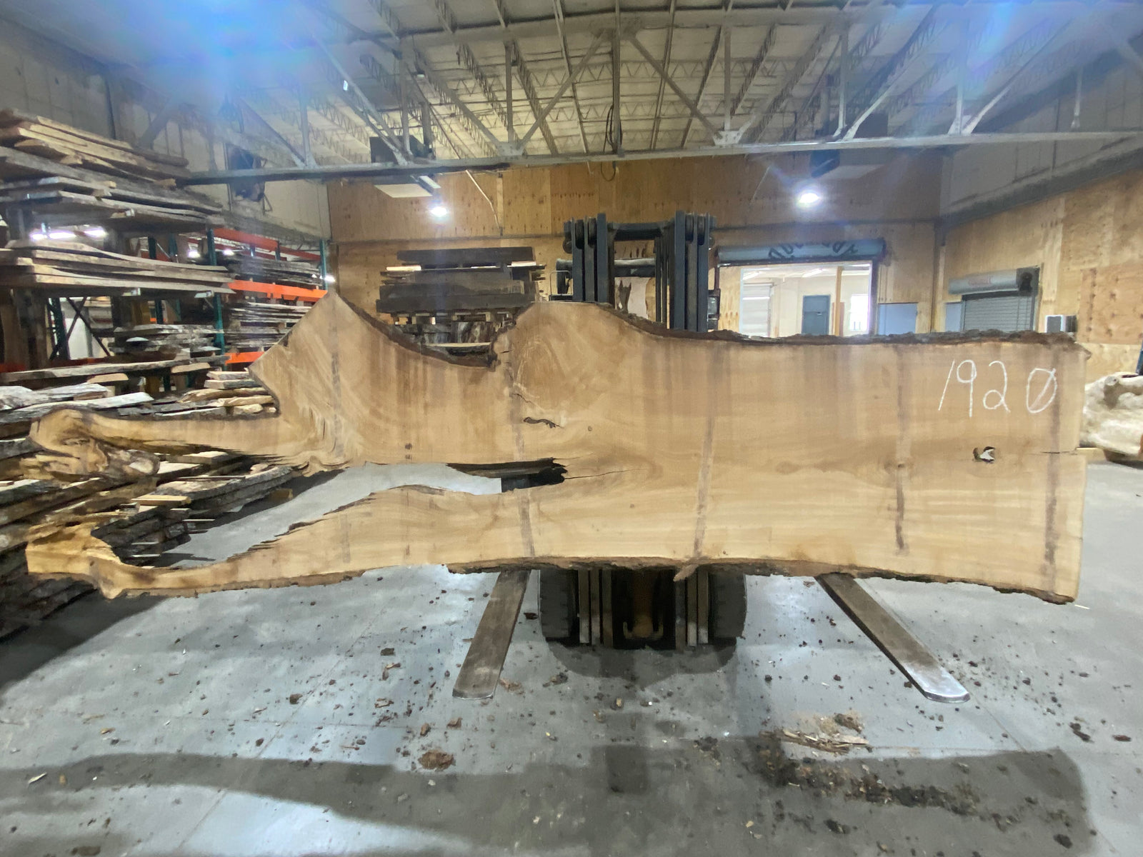 Siberian Elm (1920) 139" L x 36-41" W x 3" T