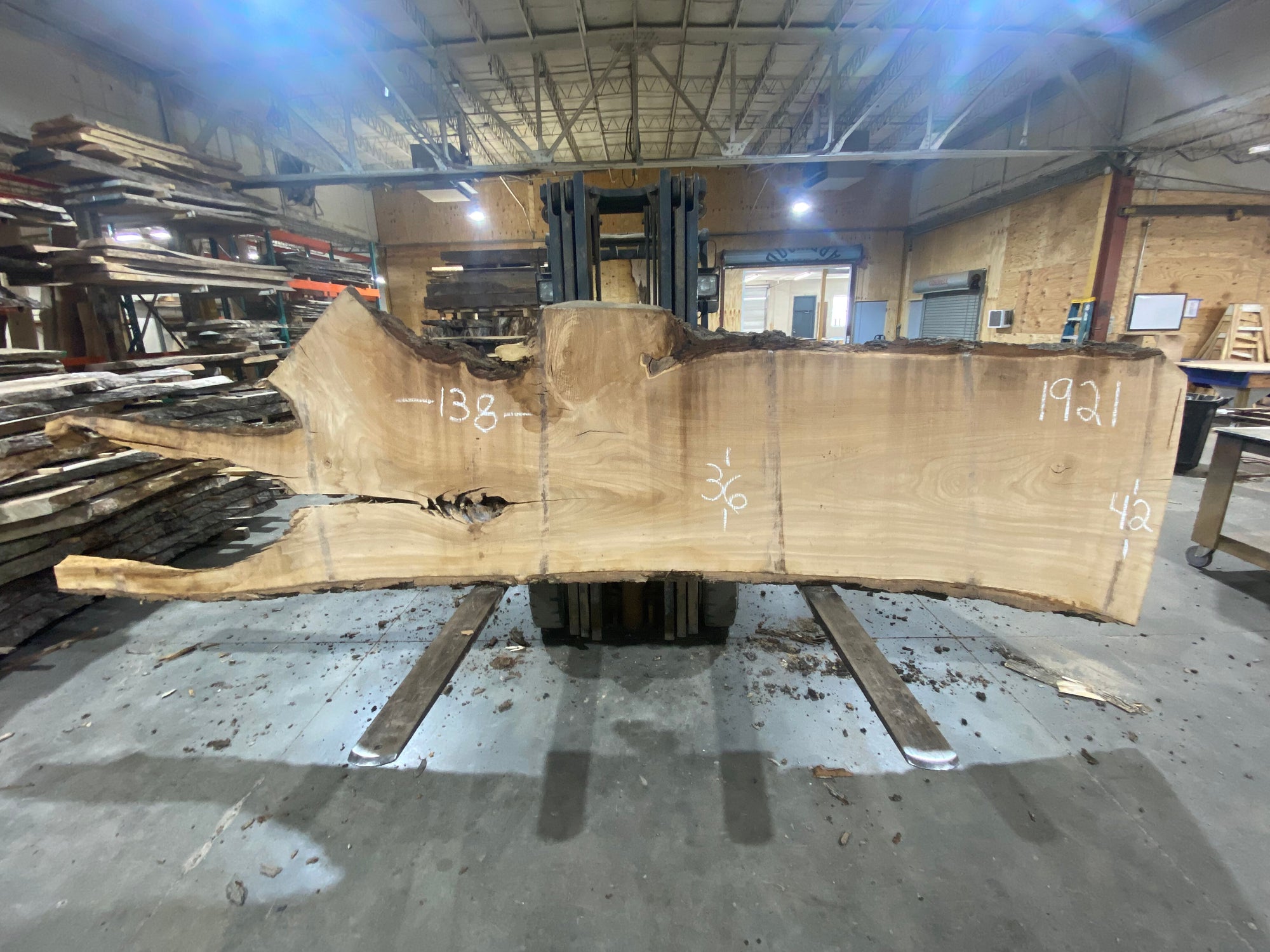 Siberian Elm (1921) 138" L x 36-42" W x 3" T