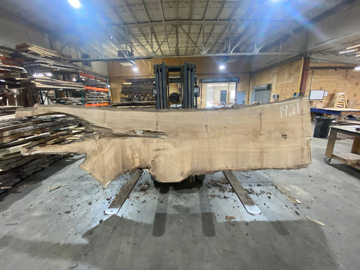 Siberian Elm (1921) 138" L x 36-42" W x 3" T