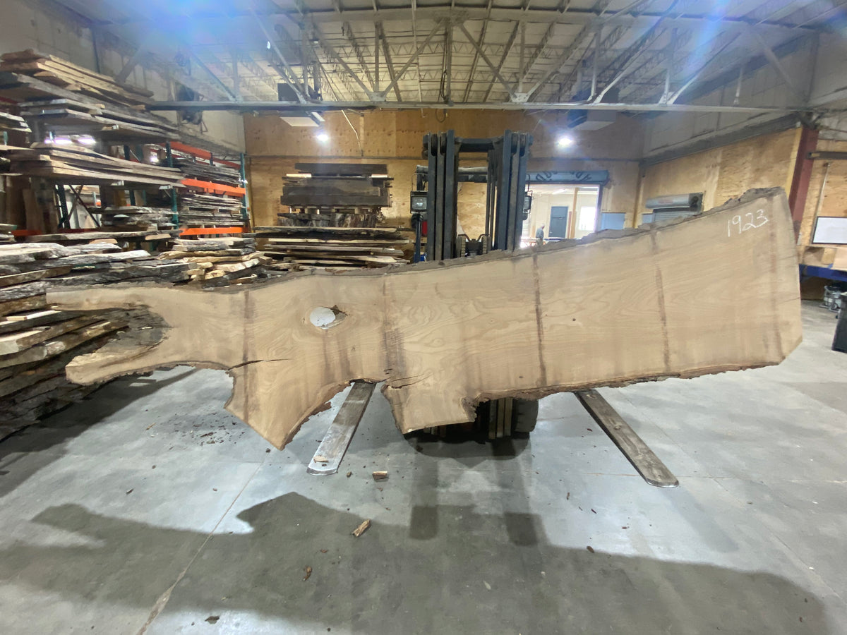 Siberian Elm (1923) 134" L x 27-36" W x 3" T
