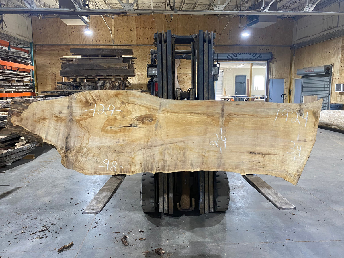 Sugar Maple (1924) 129&quot; L x 29-34&quot; W x 2.5&quot; T