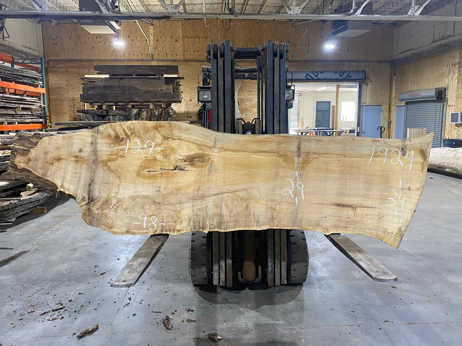 Sugar Maple (1924) 129" L x 29-34" W x 2.5" T