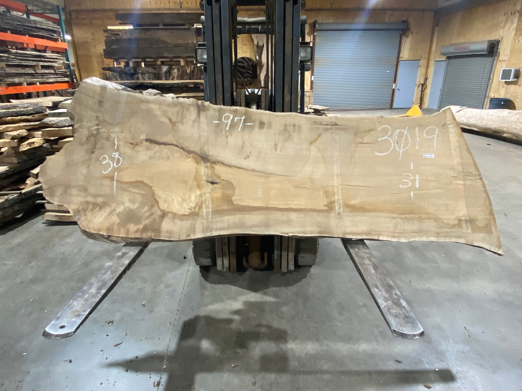 Spalted Maple (3019) 97" L x 31-38" W x 2.5" T