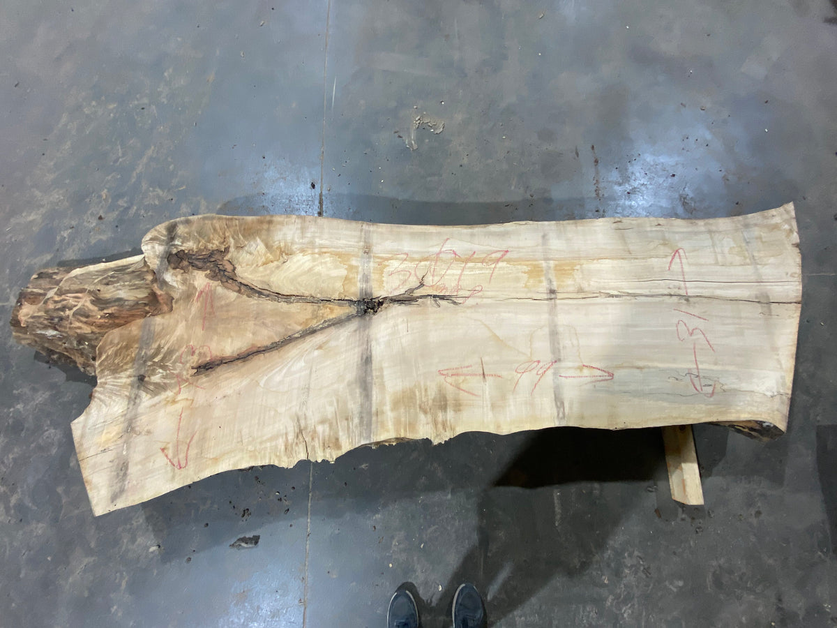 Spalted Maple (3019) 97&quot; L x 31-38&quot; W x 2.5&quot; T