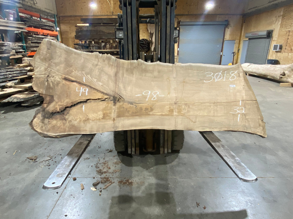 Spalted Maple (3018) 98&quot; L x 32-49&quot; W x 2.5&quot; T