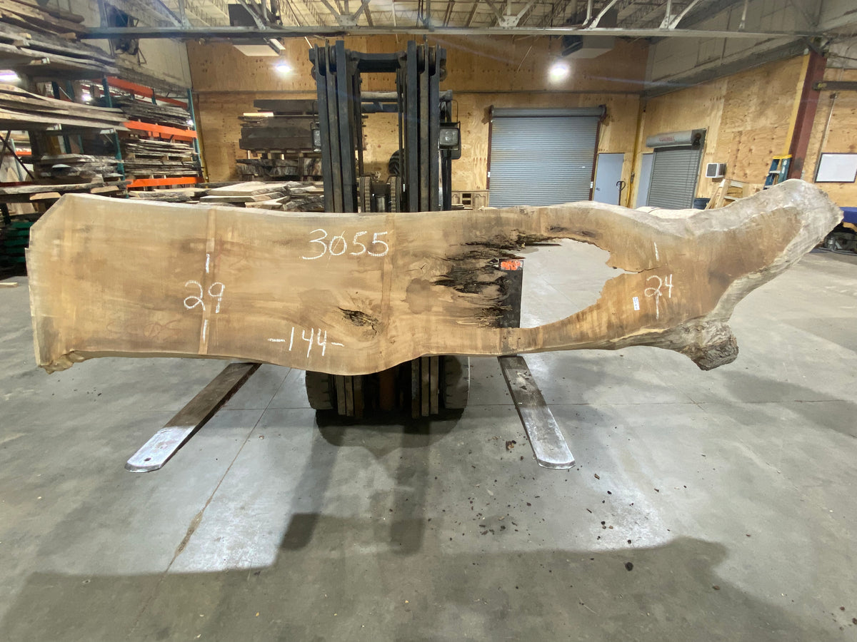 Poplar (3055) 144" L x 24-29" W x 3" T