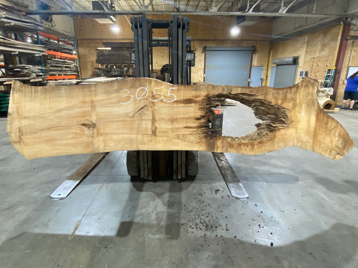 Poplar (3055) 144" L x 24-29" W x 3" T