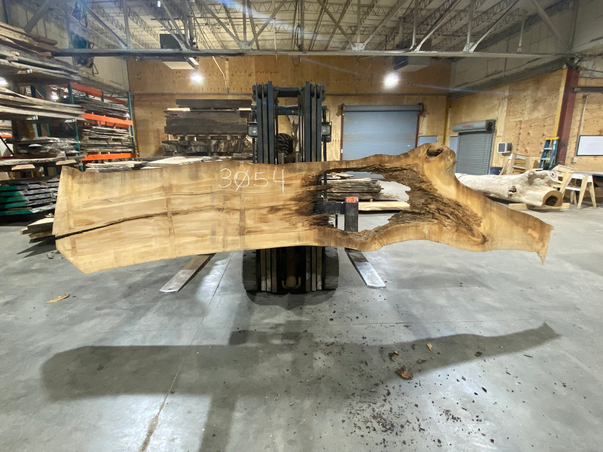 Poplar (3054) 148" L x 34" W x 3" T