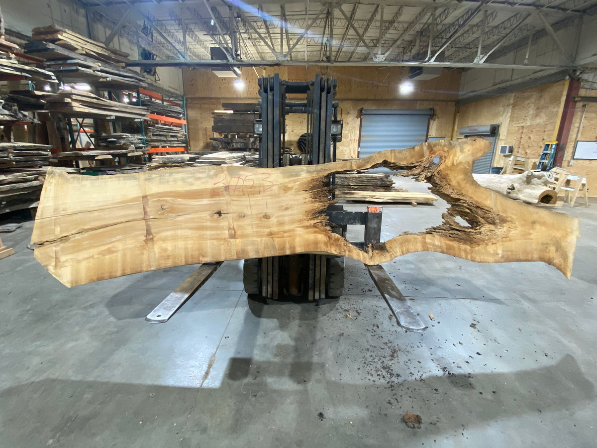 Poplar (3053) 155" L x 31-40" W x 3" T
