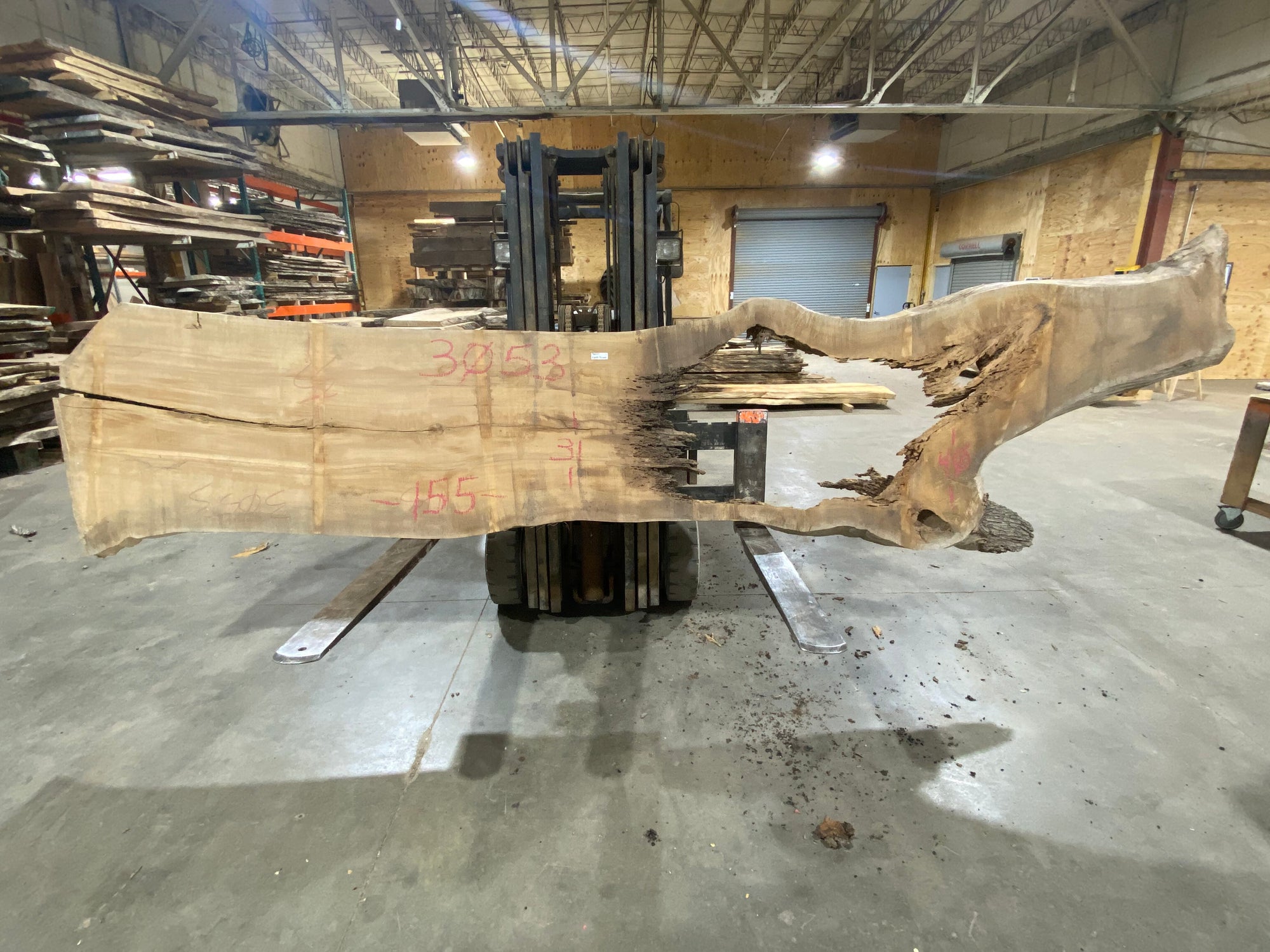 Poplar (3053) 155" L x 31-40" W x 3" T