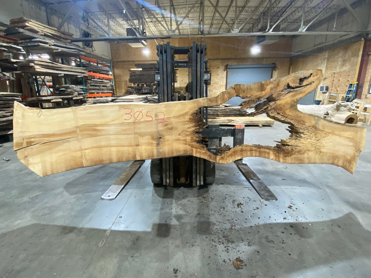 Poplar (3052) 148" L x 30-45" W x 3" T