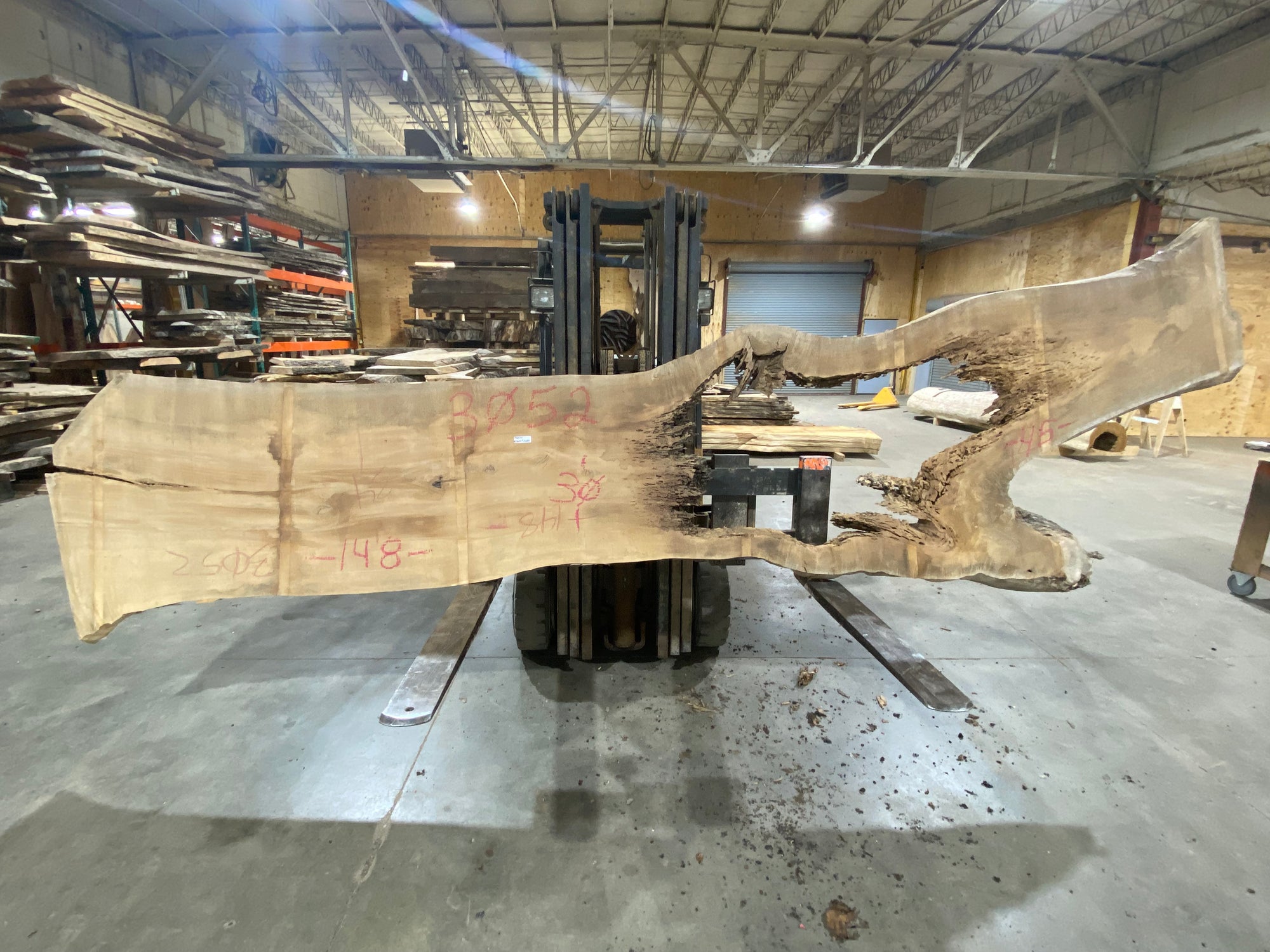 Poplar (3052) 148" L x 30-45" W x 3" T