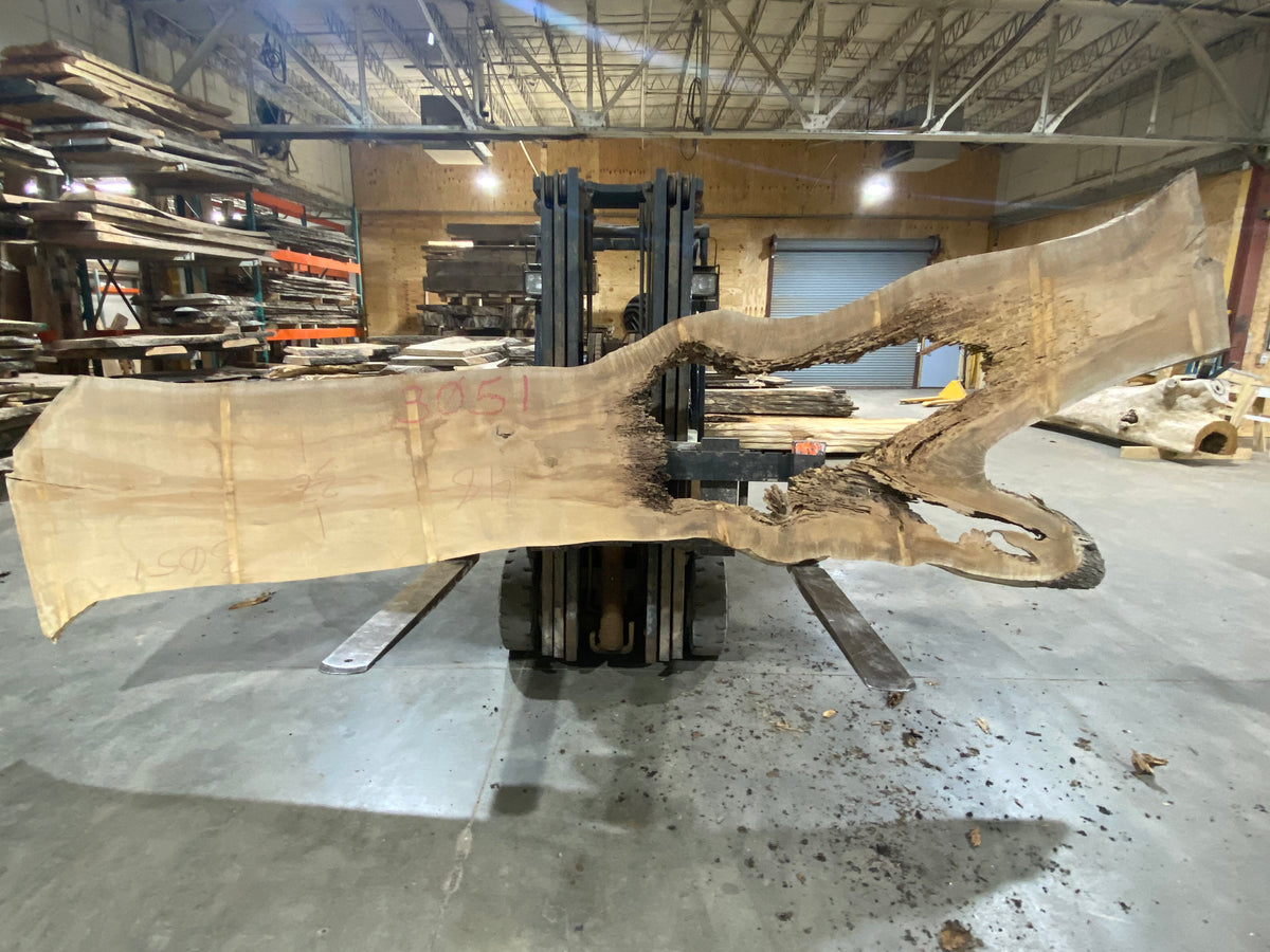 Poplar (3051) 148" L x 25-50" W x 3" T