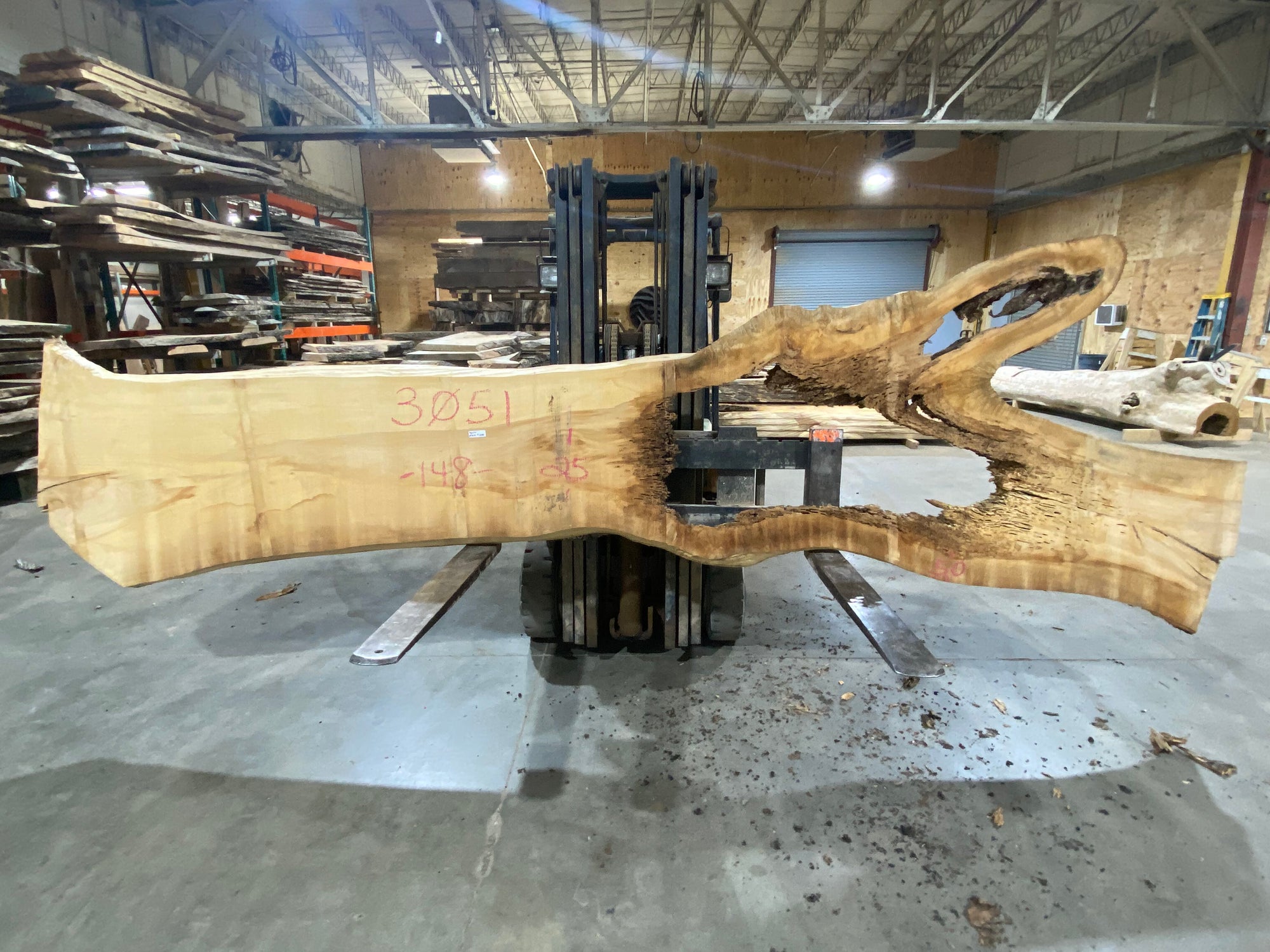 Poplar (3051) 148" L x 25-50" W x 3" T