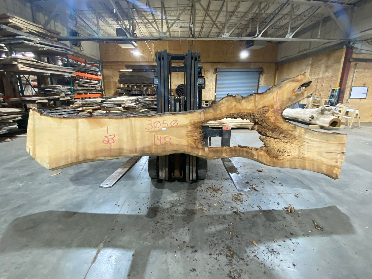 Poplar (3050) 148" L x 23-49" W x 3" T