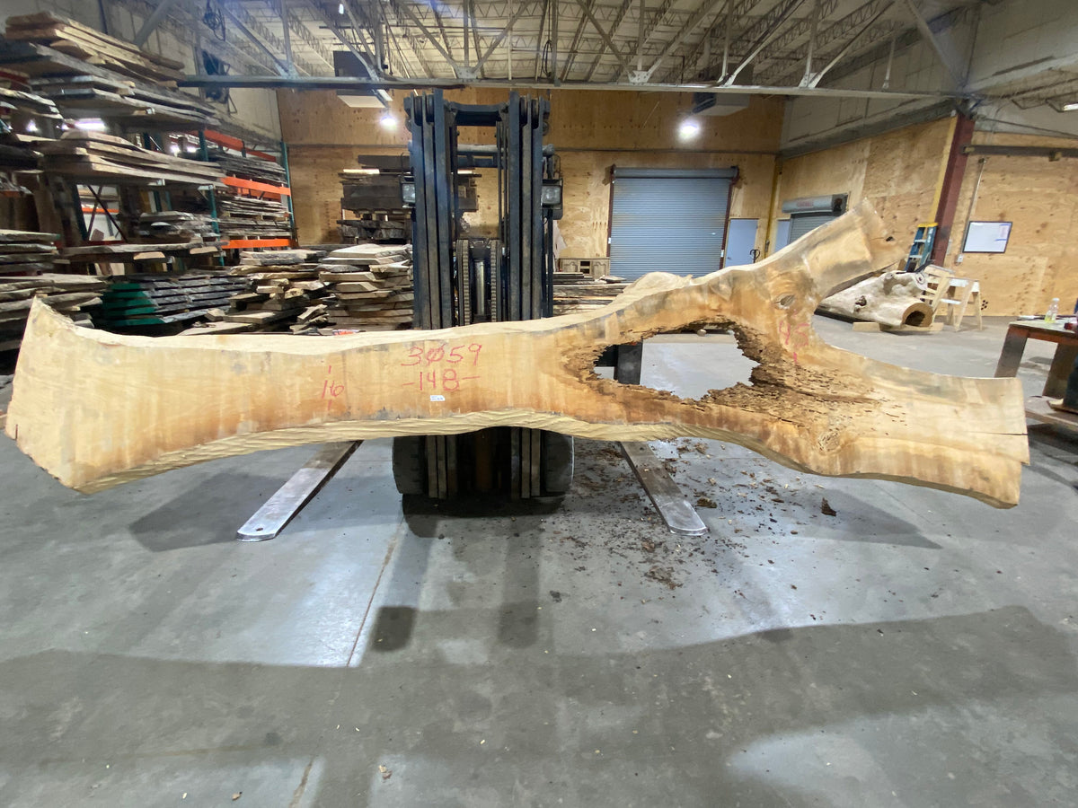 Poplar (3059) 148" L x 16-45" W x 3" T