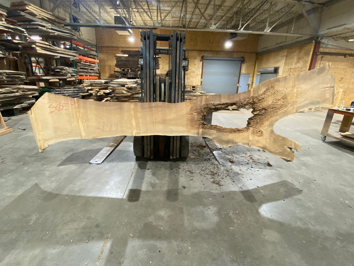 Poplar (3059) 148" L x 16-45" W x 3" T