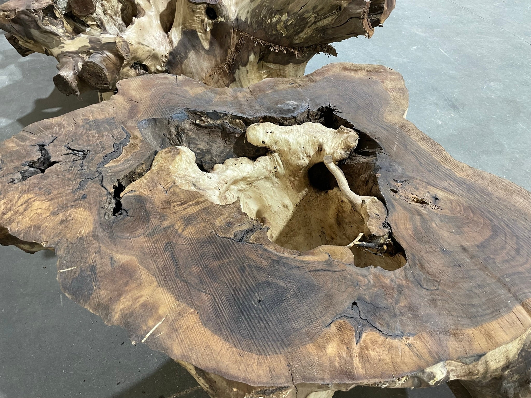 Walnut Root Ball 2 - KC Custom Hardwoods