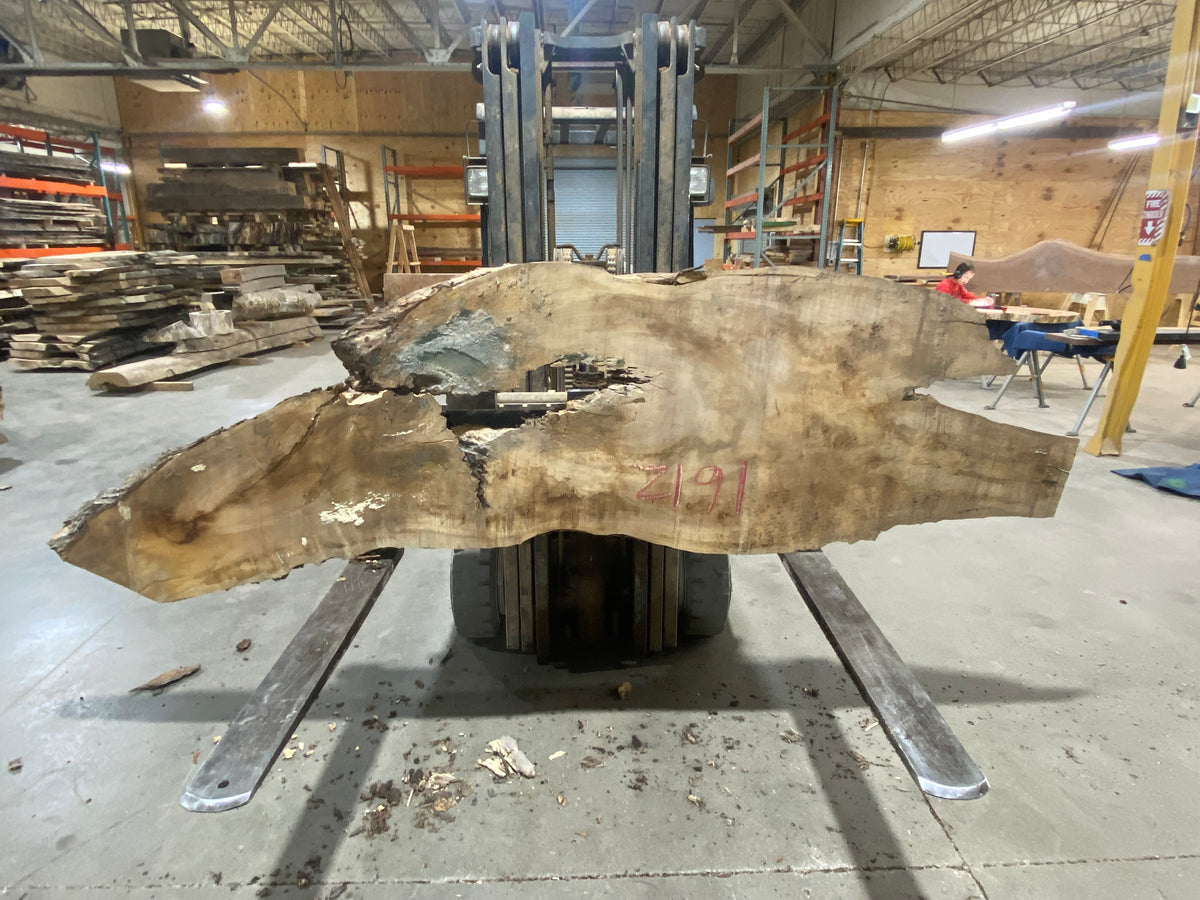 Sugar Maple (1612) 100&quot; L x 17-32&quot; W x 3&quot; T